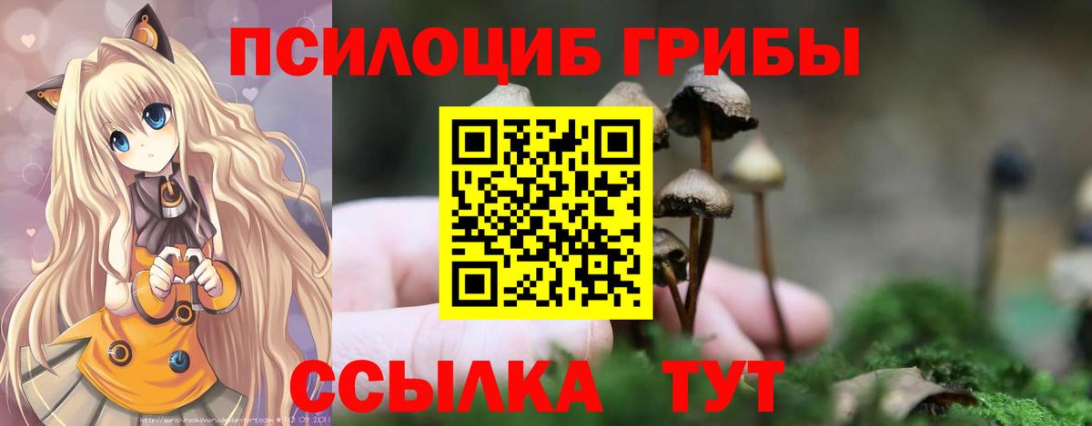 Псилоцибиновые грибы Psilocybe  Псилоцибиновые грибы ЛСД  Северск  Вход с VPN 